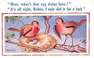The Robin & The Lark Birds Donald McGill Comic Postcard