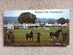 Welsh Cob Champions