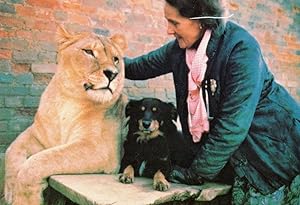 Sabrina Lioness with Pet Dog Of The Year 1980 Northampton Postcard