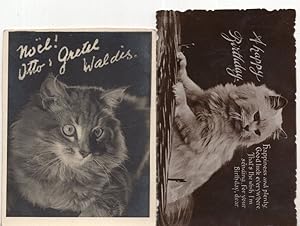 Cat Saying Otto Waldis Movie Star Antique Card & Postcard