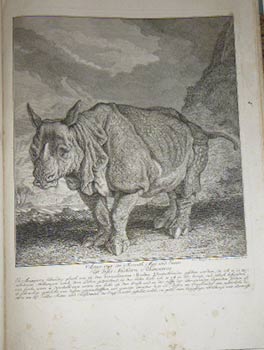 Anno 1748 im Monath May und Junio ist dises Nashorn Rhinoceros. In Augspurg lebendig gleich wie i...