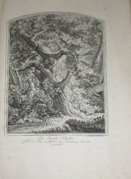 Das Brunfft-Schiessen : Nach der Natur in Walde bey Starenberg Anno 1736, gezeichnet. First editi...