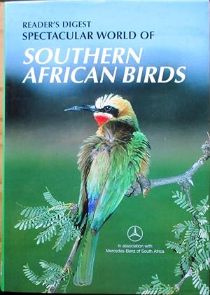 Spectacular world of southern African Birds