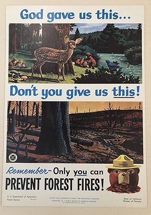 (Smokey Bear) GOD GAVE US THIS.DON'T YOU GIVE US THIS!- Remember Only You Can Prevent Forest Fire...