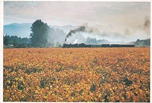 Train at Hex River Valley in Cape Farm South Africa Autumn Postcard