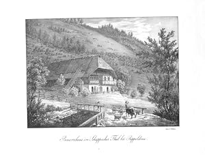 Rippoldsau.- "Bauernhaus im Schappacher Thal bei Rippoldsau". Lithographie bei Velten, um 1830. 1...