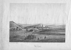 Wunsiedel/ Oberfranken. Gesamtansicht. Lithographie nach Ziegler, um 1840. 16,4 x 23,4 cm.