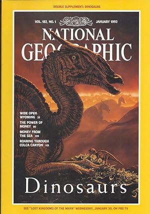 National Geographic: January 1993