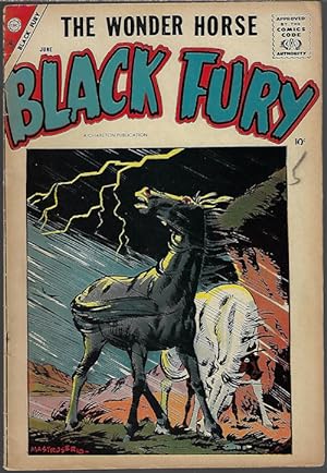 BLACK FURY: June #14