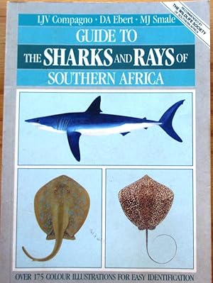 Guide to the Sharks and Rays of Southern Africa