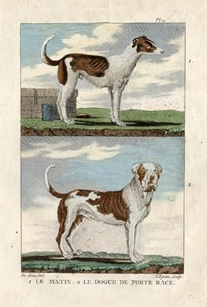 Antique Print-DOG-CHIEN-HUND-MASTIFF-Buffon-1822