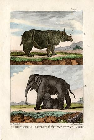 Antique Print-RHINOCEROS-INDIAN ELEPHANT-Buffon-1822