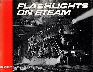 Flashlights on Steam