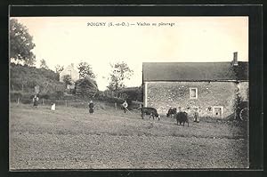 Carte postale Poigny, Vaches au pâturage