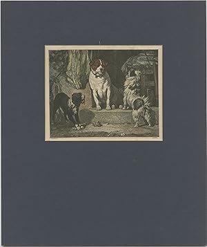Antique Print of Various Dogs (breed undetermined), c.1880