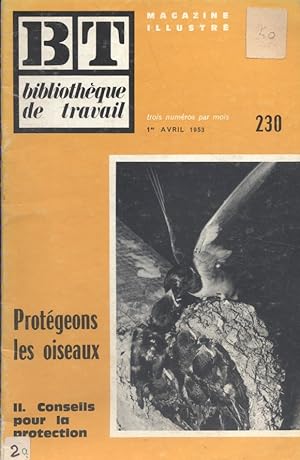 Protégeons les oiseaux (II). Conseils pour la protection. Deuxième partie seule. Vers 1970.