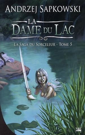 la saga du sorceleur Tome 5 : la dame du lac