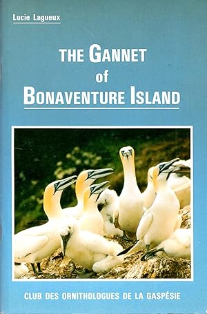 The Gannet of Bonaventure Island (Canada)