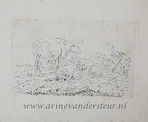 [Original etching, ets] P. Roosing after J. Kobell II. Cow and sheep a meadow, published 1800-1850.