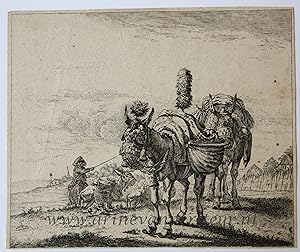 Antique print, etching | The two mules, published before 1750, 1 p.