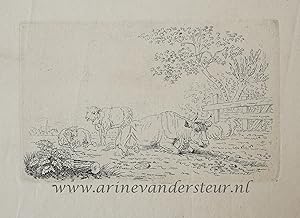 [Original etching, ets] P. Roosing after J. A. Bakker (1796-1876). Cattle in a meadow, published ...
