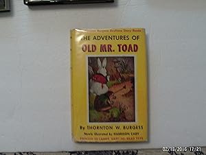 The Adventures Of Old Mr. Toad