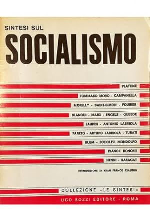 Sintesi sul socialismo