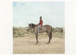 Claudio Rasano Cape Town Johannesberg Horse Photo Award Postcard