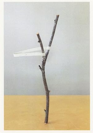Catapult Sling On Tree Amazing Inertia Photo Art Award Postcard