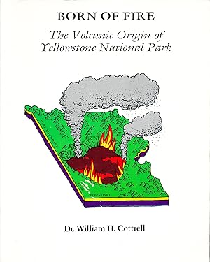 Born of Fire: The Volcanic Origin of Yellowstone National Park