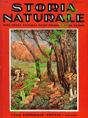 Storia naturale. Vita degli animali, delle piante e della terra. Volume III. Botanica.