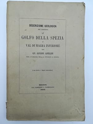 Descrizione geologica dei dintorni del Golfo della Spezia e Val di Magra inferiore