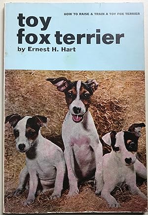 Toy Fox Terrier (How to Raise & Train A Toy Fox Terrier)