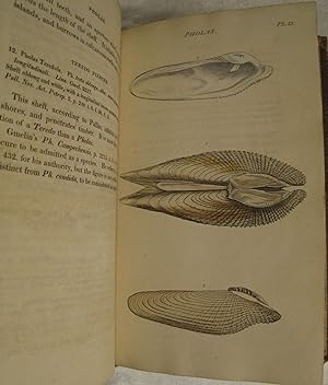 General Conchology; or a Description of Shells; Arranged according to the Linnean System and illu...