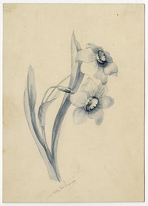 Antique Drawing-FLOWER-LILY-STEM-LEAF-De Lance-1890