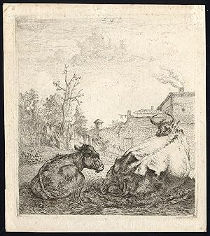 Antique Master Print-COW-CALF-FARMHOUSE-FIELD-Dujardin-ca. 1660