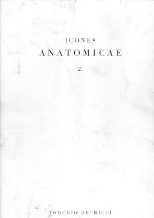 Icones Anatomicae 2