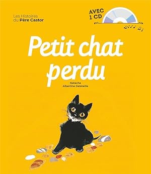 petit chat perdu