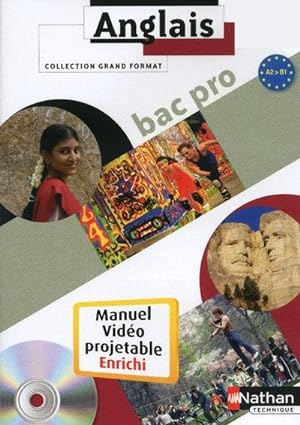 ANGLAIS ; BAC PRO ; NIVEAU A2 A B1 ; MANUEL DE L'ELEVE VIDEOPROJETABLE ENRICHI (EDITION 2010)