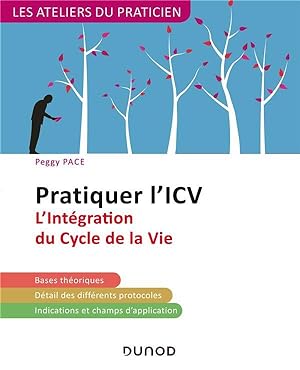 pratiquer l'ICV ; l'intégration du cycle de la vie (2e édition)