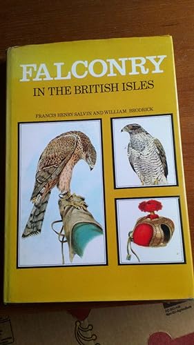 Falconry in the British Isles