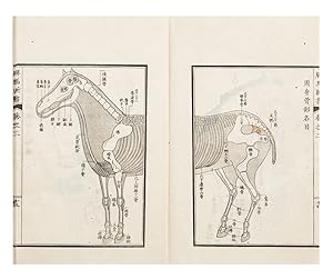 Kaiba shinsho [New Book on the Anatomy of the Horse]
