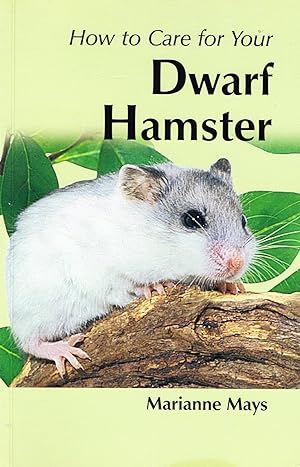 How To Care For Your Dwarf Hamster :