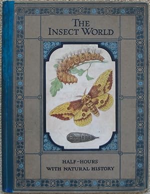 The Insect World
