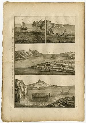 Antique Fishing Print-OYSTERS-SEINE-Pl. 87-Panckoucke-1793