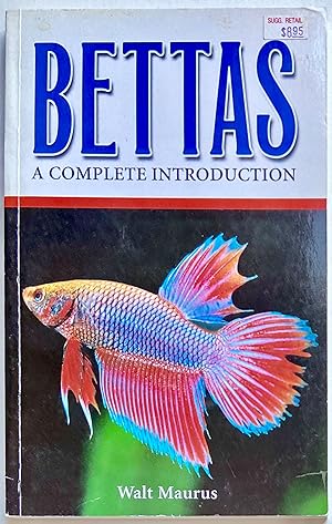 Bettas: A Complete Introduction