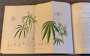 American Medicinal Plants (2 Volumes) ; an Illustrated and Descriptive Guide To the American Plan...