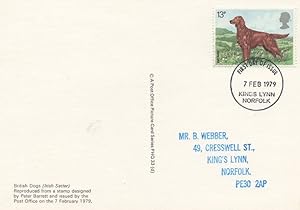 Norfolk Irish Setter Dog Royal Mail Rare First Day Cover Postcard