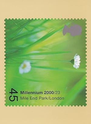 Buttercups at Mile End Park London Postcard