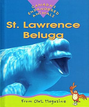 St. Lawrence Beluga : Canada's Endangered Animals :